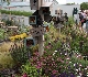 Chelsea Flower Show2009