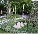 Chelsea Flower Show2009