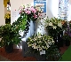 Horti Fair 2009 Amsterdam