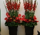 Horti Fair 2009 Amsterdam