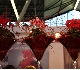 Horti Fair 2009 Amsterdam