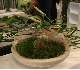Horti Fair 2009 Amsterdam