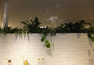 ショールーム内景観