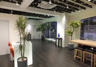 ショールーム内景観