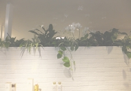 ショールーム内景観